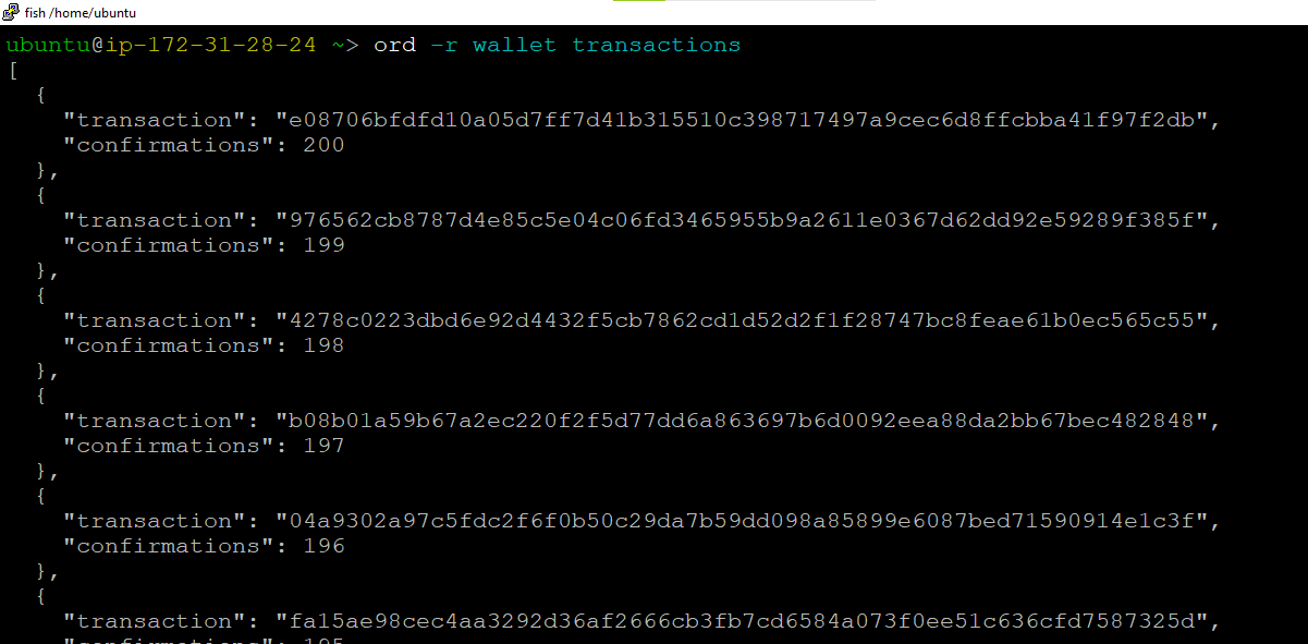 /img/common/ordinal_inscription_guide/r-wallet-transaction.png