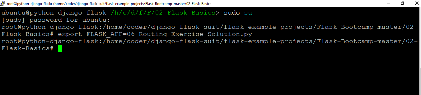 /img/common/python-django-flask-common-images/flask-env-variable.png