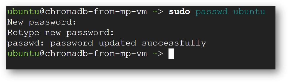 /img/gcp/chromadb-vm/update-passwd.png
