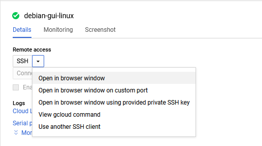 /img/gcp/debian-gui-linux/ssh-option.png