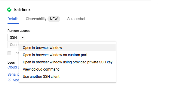/img/gcp/desktop-linux-kali/ssh-option.png