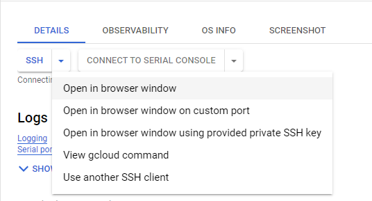 /img/gcp/flowise-langchain/ssh-option.png