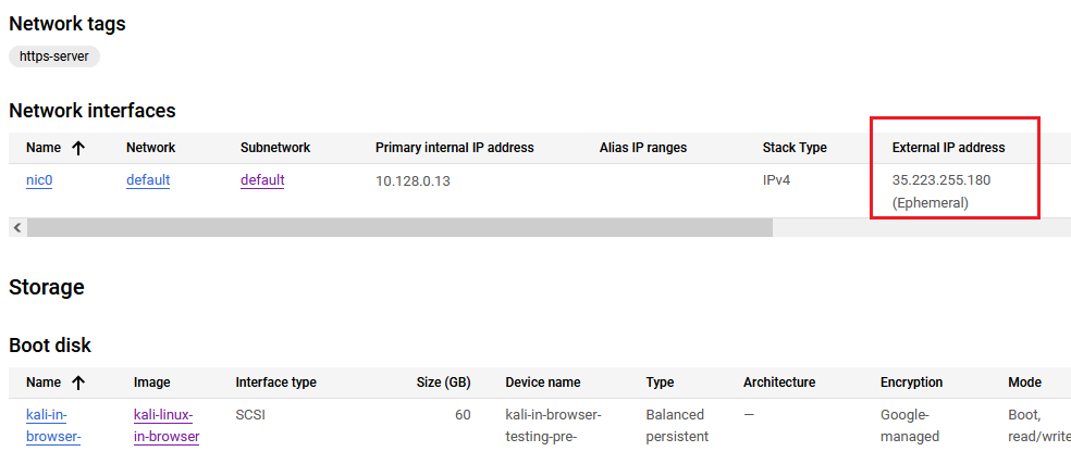 /img/gcp/kali-in-browser/public-ip.png