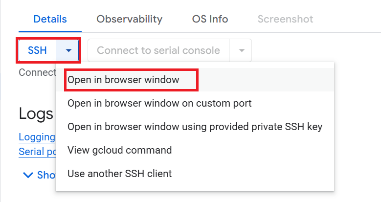 /img/gcp/private-gpt/ssh-option.png