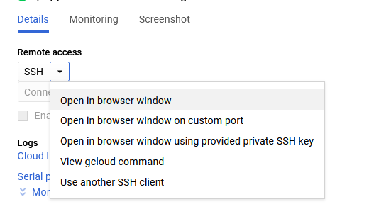 /img/gcp/puppet-support/ssh-option.png