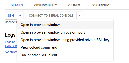 /img/gcp/rancher/ssh-option.png