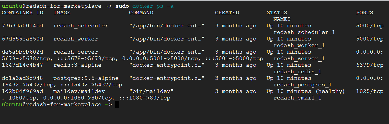 /img/gcp/redash/docker-ps-a-output.png