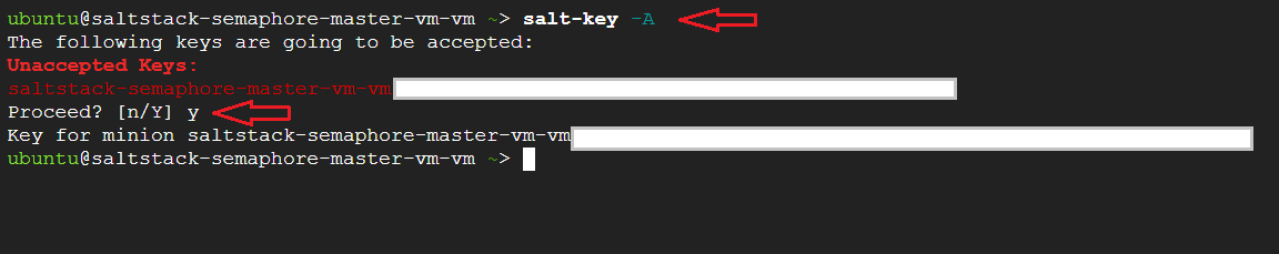 /img/gcp/saltstack-semaphore/accept-the-keys.png