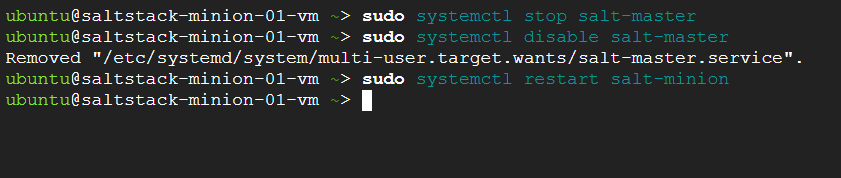 /img/gcp/saltstack-semaphore/commands-at-minion-vm.png