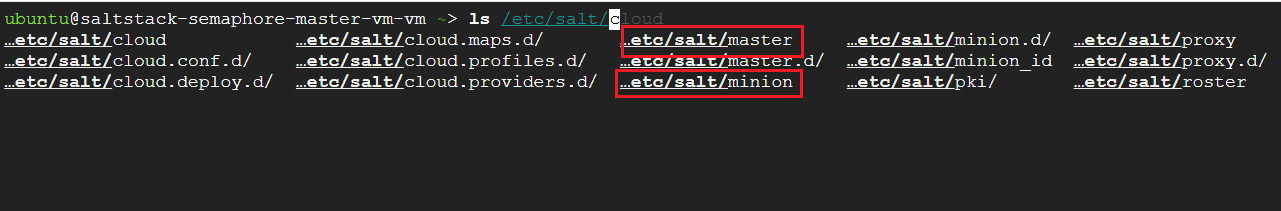 /img/gcp/saltstack-semaphore/salt-directory-2.png