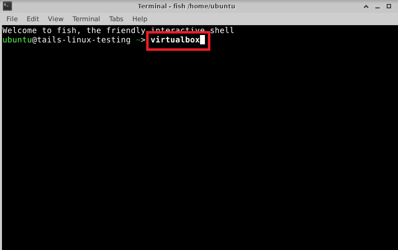 /img/gcp/tails-linux/terminal-virtualbox.png